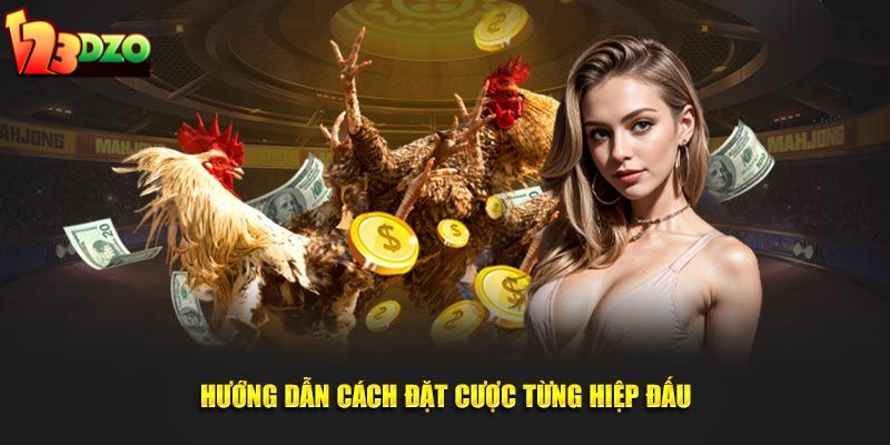 Hướng dẫn cách đặt cược từng hiệp đấu