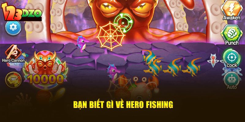 Bạn biết gì về  Hero Fishing