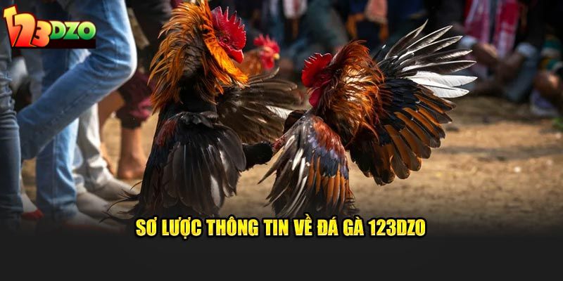 Sơ lược thông tin về đá gà 123DZO